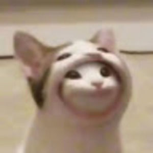 Meet your Posher, Adrian